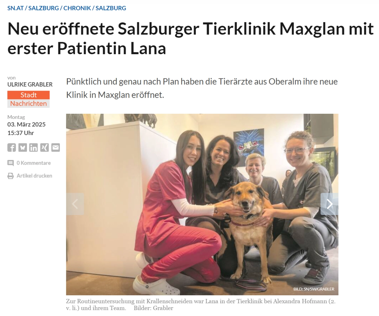 Artikel in den SN vom 3. März 2025